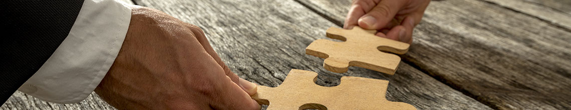 Project Management by IFSYS feeding technology & automation